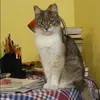 Отзыв от Наталья Лосева